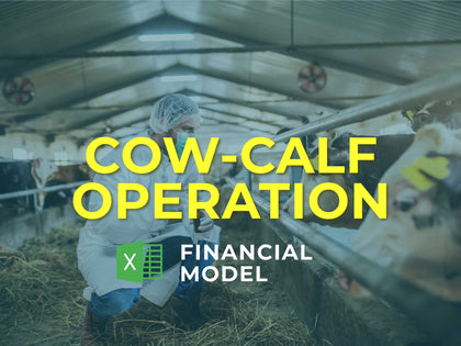 Cow-Calf Operation Financial Model Excel Template - Templarket -  Business Templates Marketplace