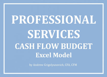 Professional Services - Cash Flow Budget Excel Model - Templarket -  Business Templates Marketplace