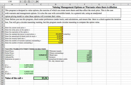 Warrants and Management Options - Excel Valuation Model - Templarket -  Business Templates Marketplace