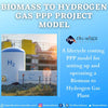 Biomass to Hydrogen Gas PPP Project Model with 3 Statements, Cash Waterfall & NPV – IRR Analysis